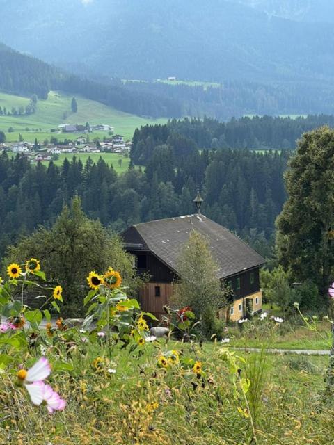 Stillleben Luxus Für Seele Apartamento *