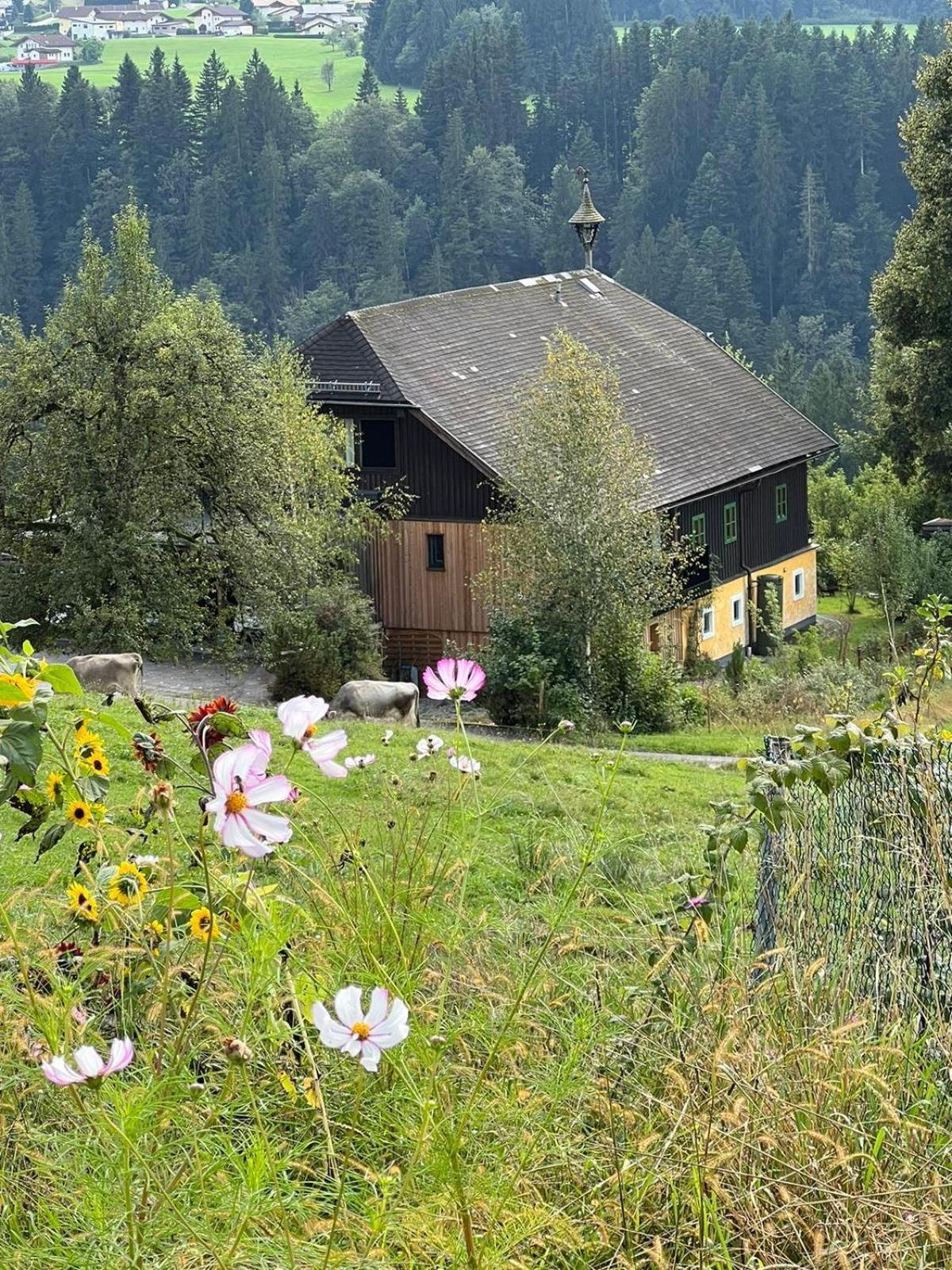 Stillleben Luxus Fuer Seele